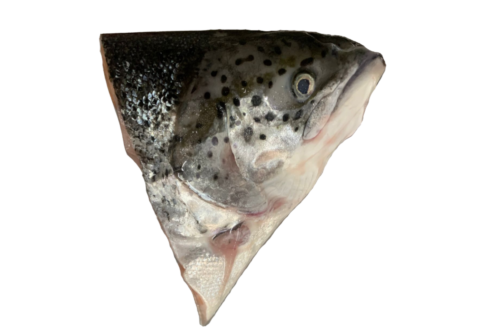 [KUHL+] Norwegian Salmon Head