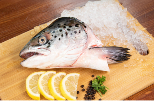 [KUHL+] Norwegian Salmon Head